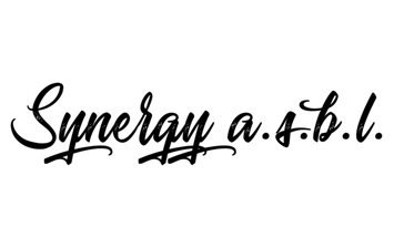 Synergy a.s.b.l.